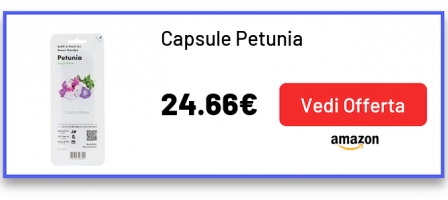 Capsule Petunia