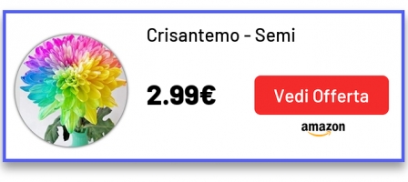 Crisantemo - Semi