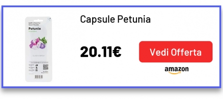 Capsule Petunia