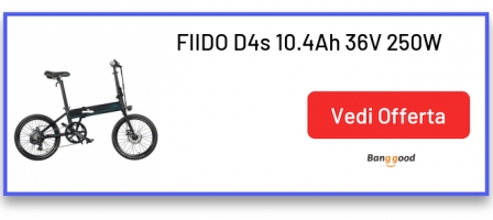 FIIDO D4s 10.4Ah 36V 250W