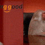 gearbest-banggood-monkeys