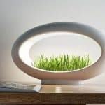 grass lamp