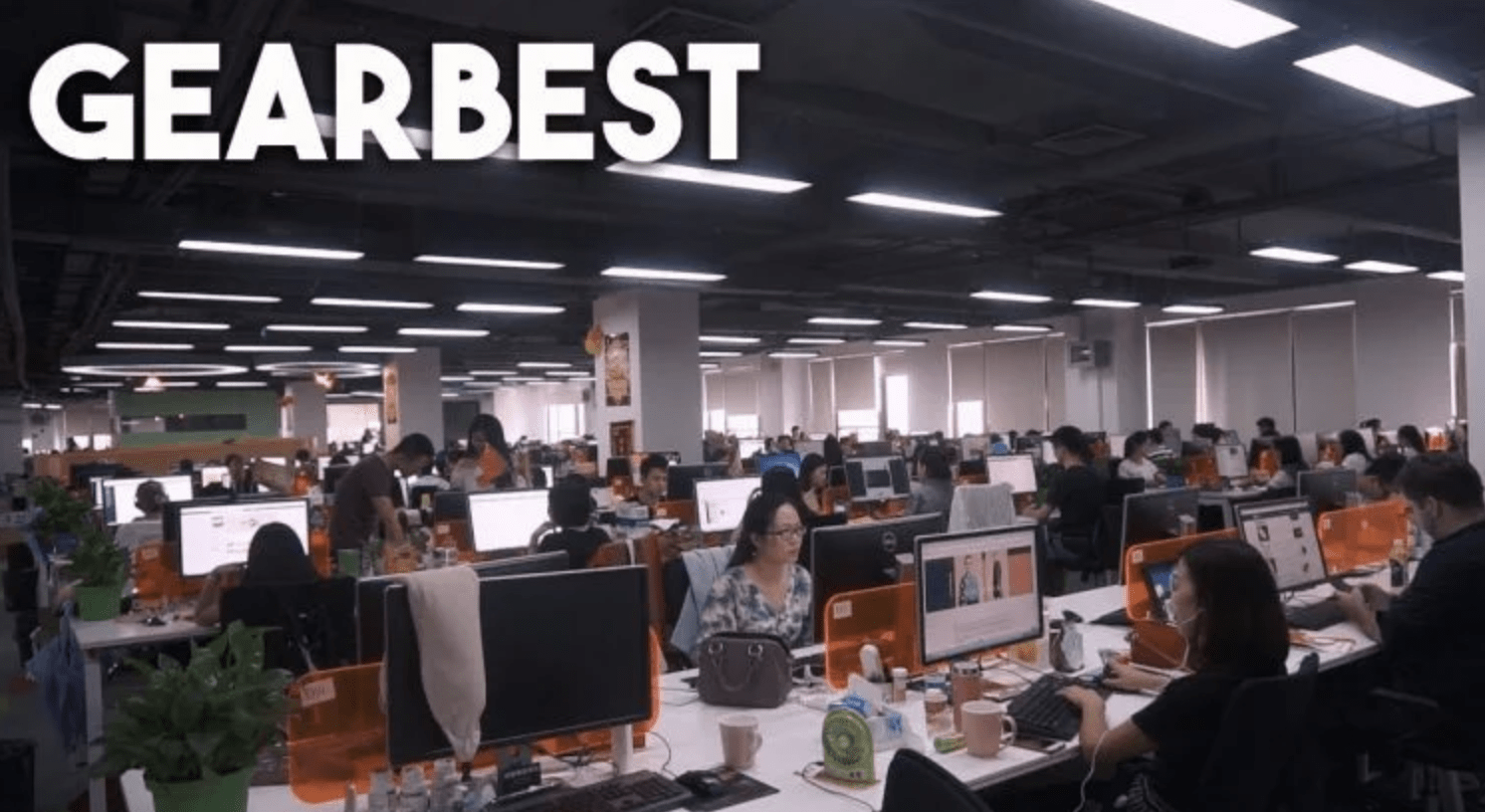GearBest: l’interesse del pubblico cala del 50%