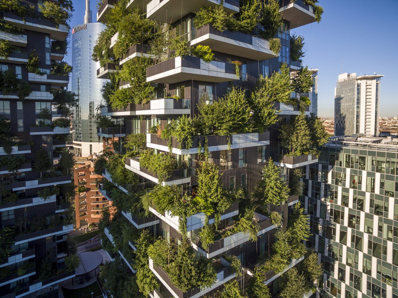 Ecoedilizia a Milano il bosco diventa verticale