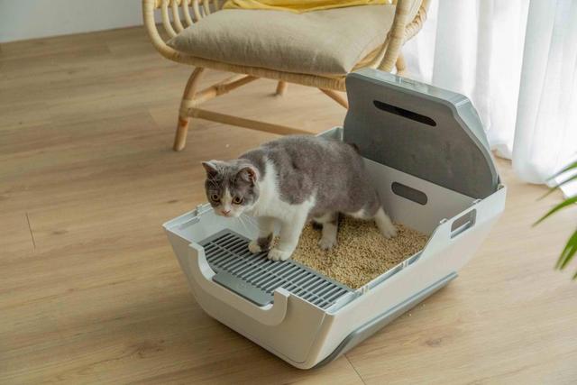 LuluPet AI Smart Cat Litter Box