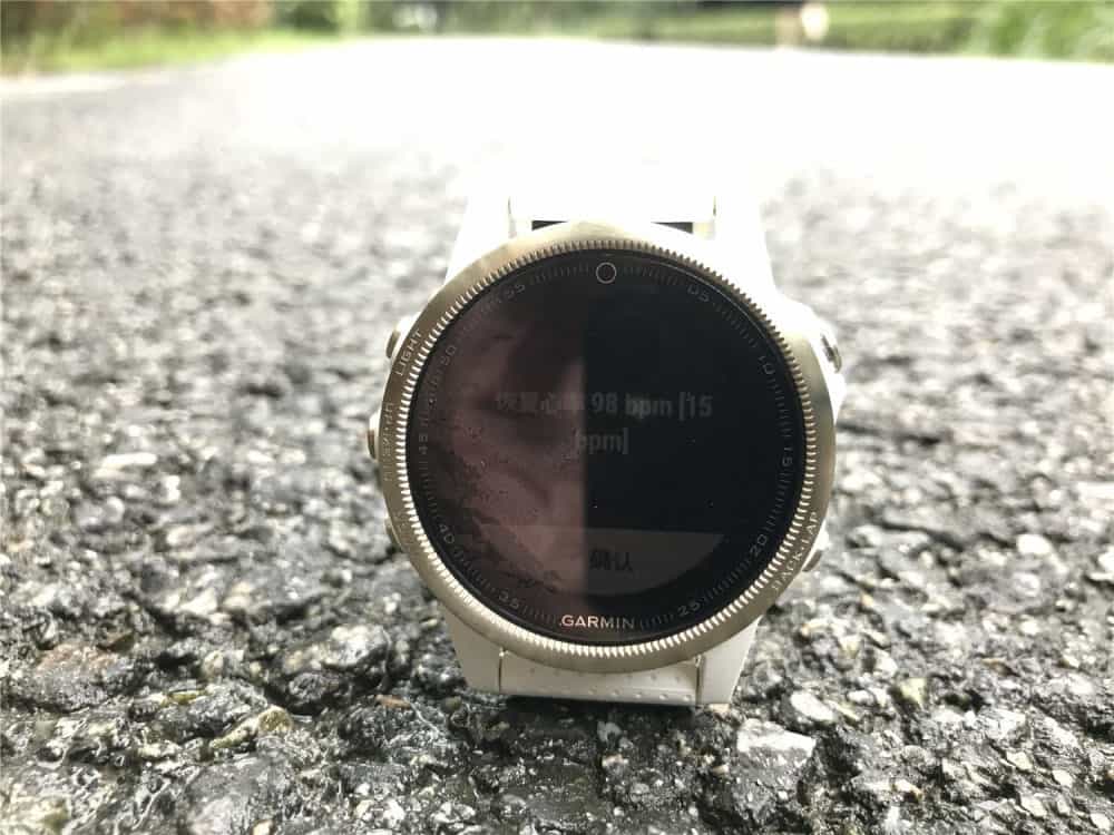 Garmin Fenix 5S