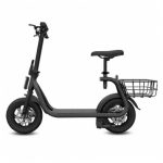 Eswing M11 Folding Electric Scooter 350W Motor 10Ah Battery 12 Inch Tire Double Disc Brake