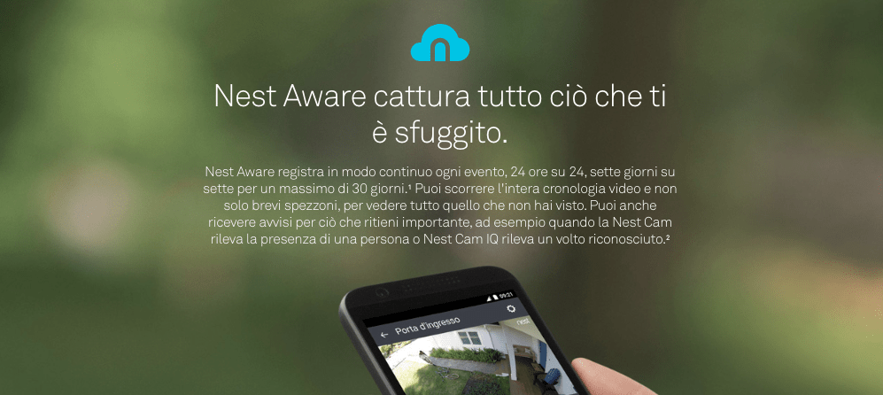 nest