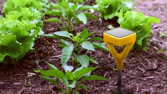 smart garden