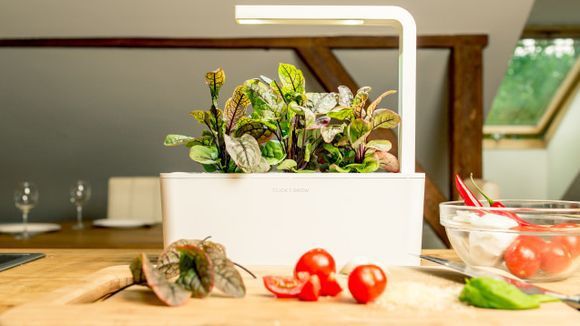 smart garden