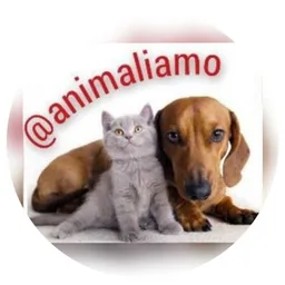Animali amo