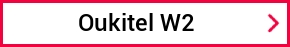 Oukitel W2