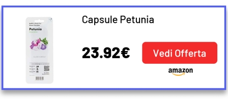 Capsule Petunia