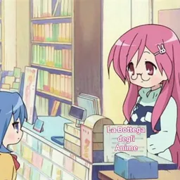 Bottega degli Anime