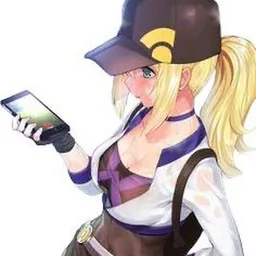 Poke Raids