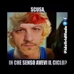 I Deliri di Fudo