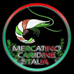 Mercatino Caridine Bot