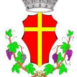 Messina informa