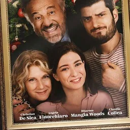Natale a tutti i costi FILM