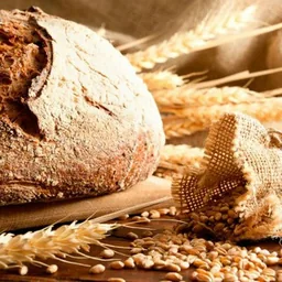Pane Quotidiano