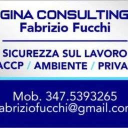 Gina Consulting